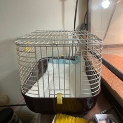 爬虫類飼育用品の画像
