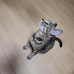 どなたか飼ってくれませんか？