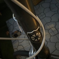 自転車　dash altena