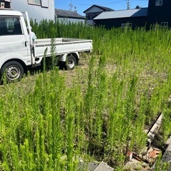 草刈りでお困りの方 お任せ下さい‼️ - 松阪市