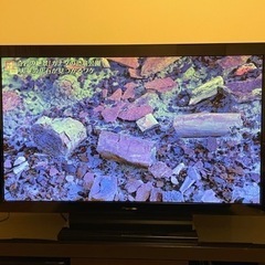 パイオニア 50V型 プラズマテレビの画像