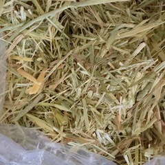 チモシー＆オーツヘイ ミックス 約1kg