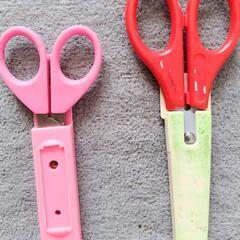 幼児用ハサミ2つセット