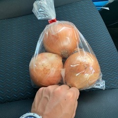 巨大玉ねぎ