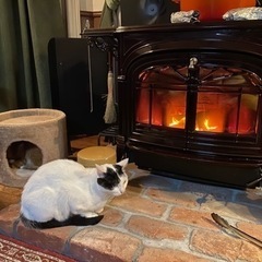 薪ストーブ用・キャンプ用・薪🪵販売の画像