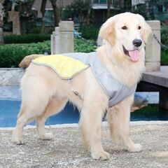プチプラペット用品🐶🐈　🎊🉐シークレットセール開催中