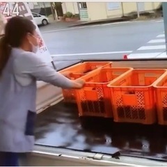 栗の集荷所の作業アルバイト募集の画像