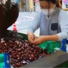 栗の集荷所の作業アルバイト募集の画像