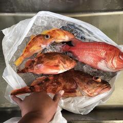ジギング、タイラバ等 − 奈良県