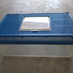 フタ付きプラスチック水槽3個＋浅型水槽の画像