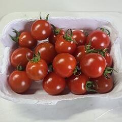 ミニトマト　200g
