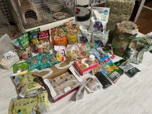 チンチラ、デグー飼育セット　うさぎのおやつもあります