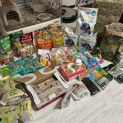 チンチラ、デグー飼育セット　うさぎのおやつもあります