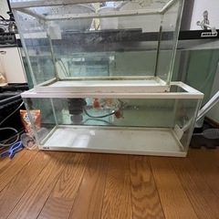 GEX水槽