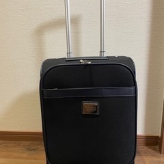 コンパクトスーツケース　縦46横33の画像
