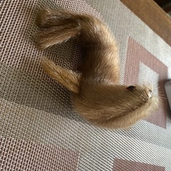 オットセイ　置物　オブジェの画像