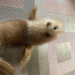 オットセイ　置物　オブジェの画像