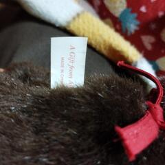 レトロモンチッチの画像