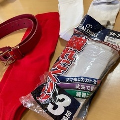 野球のユニホーム等の画像