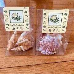 貝殻 & 珊瑚 & ビー玉