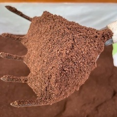 コーヒーかす【差し上げます】の画像