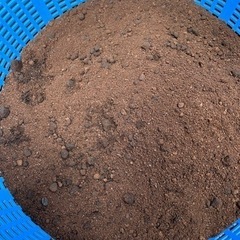 コーヒーかす【差し上げます】の画像