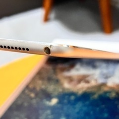 IPAD PRO 10.5 DO WI-FI+CELL 256GB 2017の画像