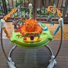 【値下げ!!】ジャンパルーフィッシャープライス　