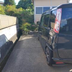 特別価格中の画像