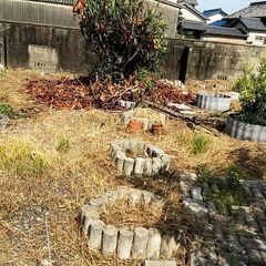 テストピースの画像