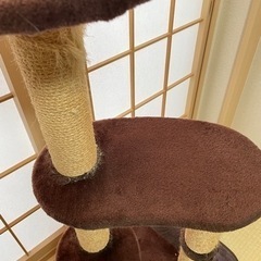 キャットタワーの画像
