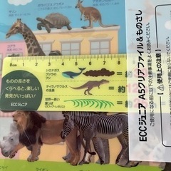新品　クリアファイル、他