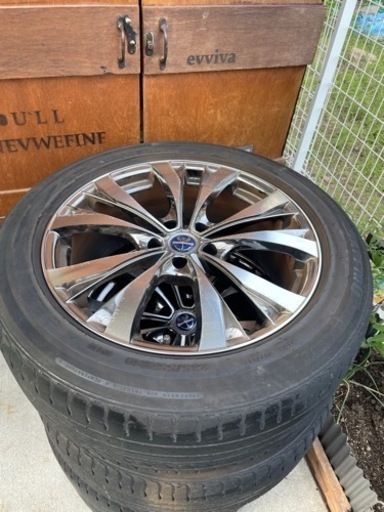 プレミックス サッシカイア