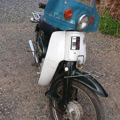 スーパーカブ50の画像