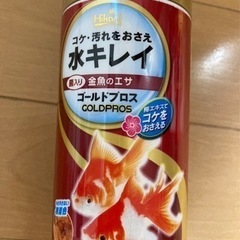 金魚 ピンポンパールの画像