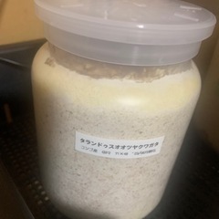タランドゥスオオツヤクワガタ幼虫