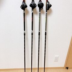 レキ　LEKI　2022ノルデックウォーキングポール　スピンショ...