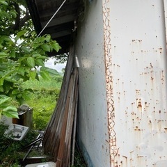 薪用に木材