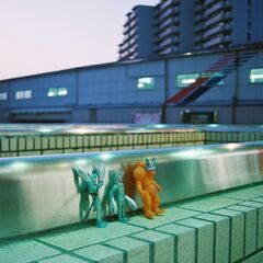 ⭐️期間満了のため、募集を終了致しました⭐️ - その他
