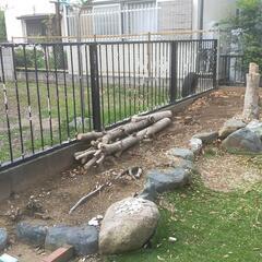 伐採した庭木の画像