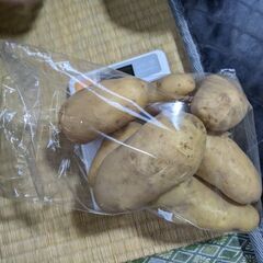 じゃがいも１キロ　矢田まで取りに来れる方のみで
