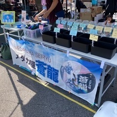 道の駅たかねざわ メダカ販売&めだかすくい出店します