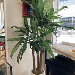 【取りに来れる方限定】造花