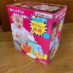 いたずら1歳 やりたい放題