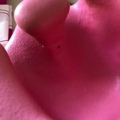 バンボ(袋付き)の画像