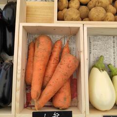【野菜直売】　毎週火曜日　金ケ作熊野神社前 - その他