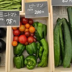 【野菜直売】　毎週火曜日　金ケ作熊野神社前 − 千葉県