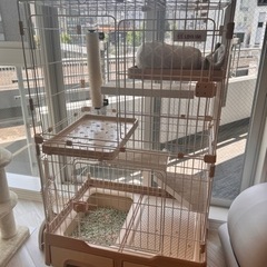 キャットゲージ