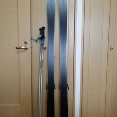 ダイナミックのカービングスキー板とポールの画像