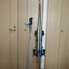 ダイナミックのカービングスキー板とポールの画像